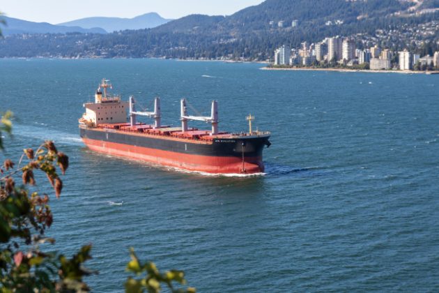 Economic and Biophysical Impacts of Oil Tanker Spills Relevant to Vancouver, Canada - Download the Literature Review - Photo: Unsplash