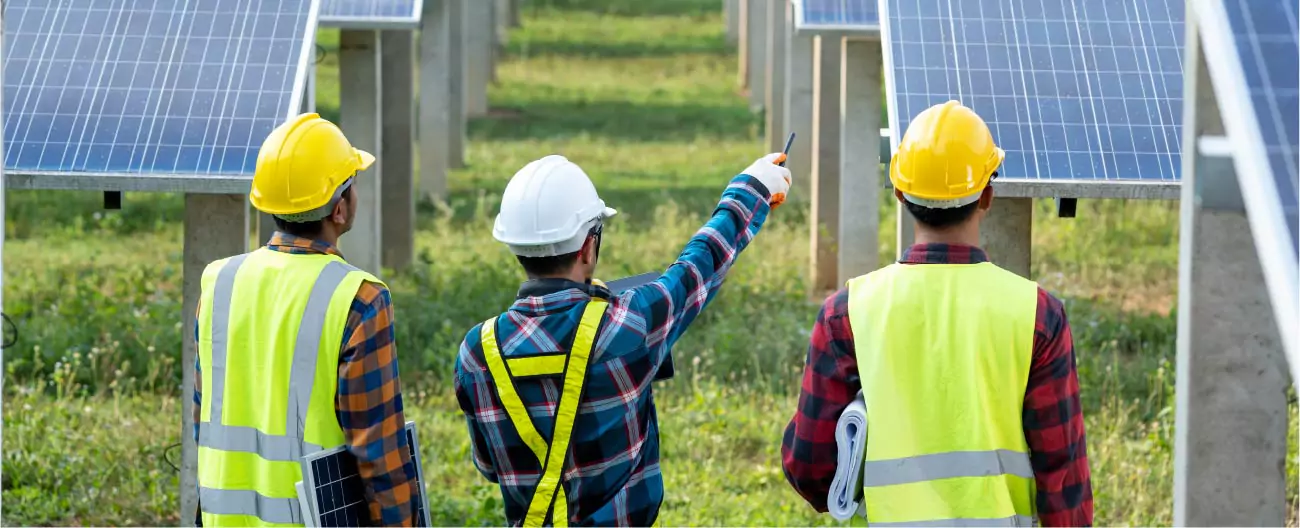 Three green economy professionals in a field of solar panels