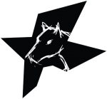 Darkhorse10-logo-white