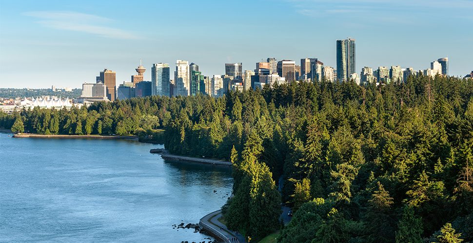 The Vancouver skyline is revealed behind the dense trees of Stanley Park