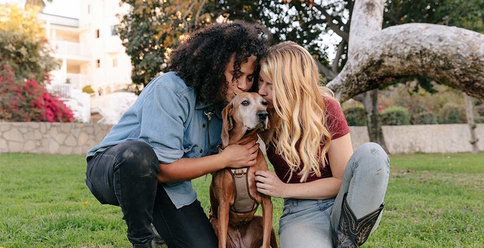 Measuring happiness: a couple kisses their dog in a dog park